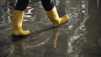 Yellow rain boots in water